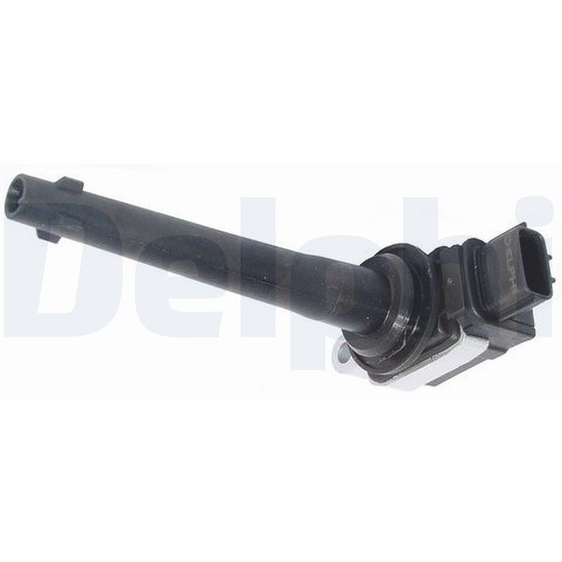 Delphi Zündspule [Hersteller-Nr. GN10317-12B1] für Nissan, Renault
