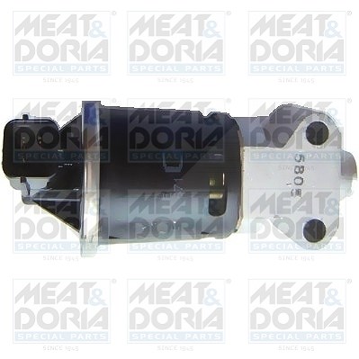 Meat & Doria AGR-Ventil [Hersteller-Nr. 88122] für Daewoo, Chevrolet