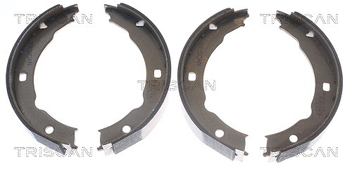 Triscan Bremsbackensatz, Feststellbremse [Hersteller-Nr. 810028050] für Peugeot
