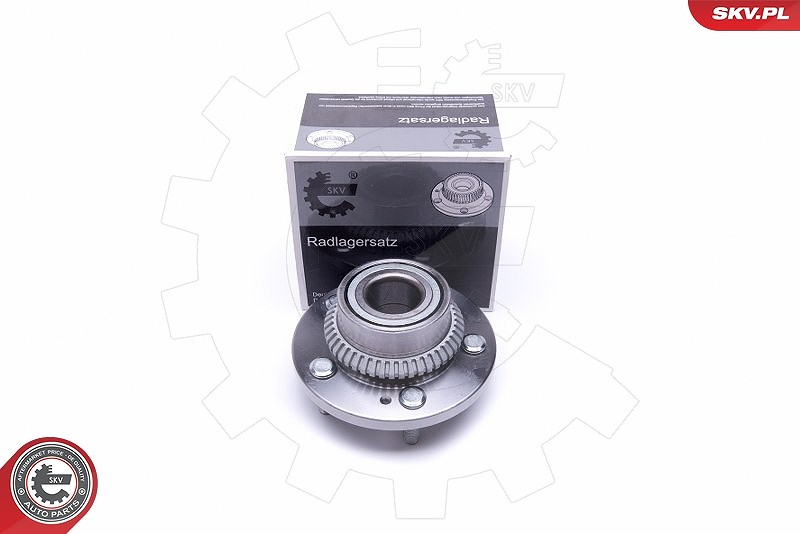 Esen Skv Radlagersatz [Hersteller-Nr. 29SKV370] für Hyundai