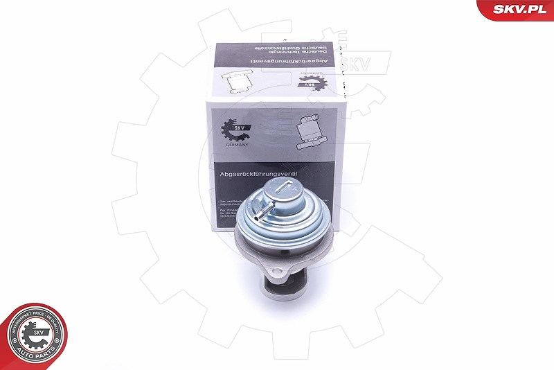 Esen Skv AGR-Ventil [Hersteller-Nr. 14SKV182] für Smart, Mitsubishi
