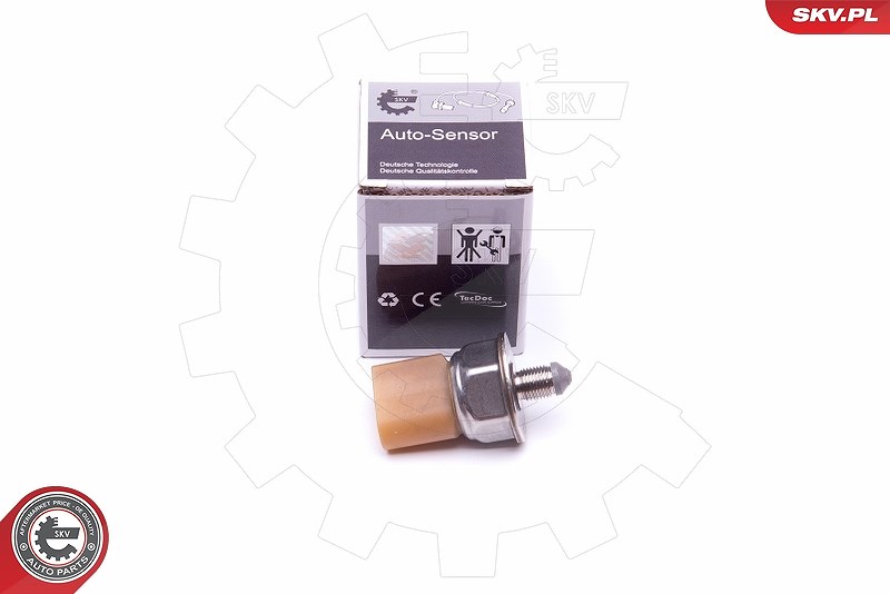 Esen Skv Sensor, Kraftstoffdruck [Hersteller-Nr. 17SKV581] für VW, Audi