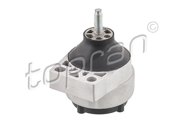 Topran Lagerung, Motor [Hersteller-Nr. 301815] für Ford