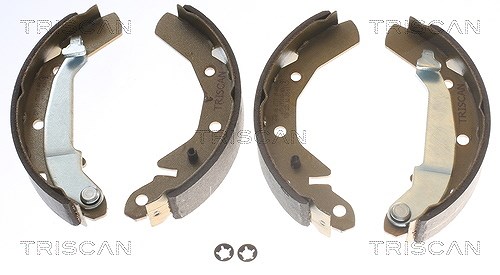 Triscan Bremsbackensatz Trommelbremse Hinterachse [Hersteller-Nr. 810021610] für Chevrolet, VW, Daewoo