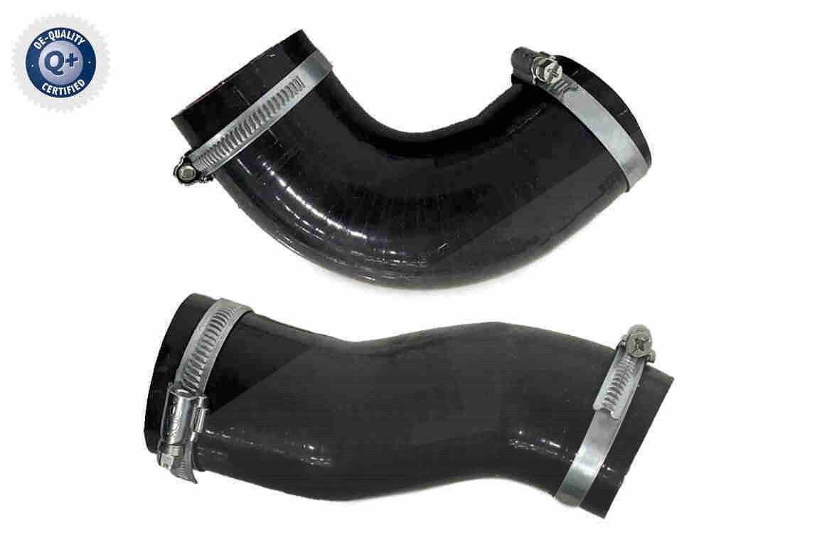 Vaico Ladeluftschlauch [Hersteller-Nr. V42-0978] für Peugeot, Citroën, Fiat