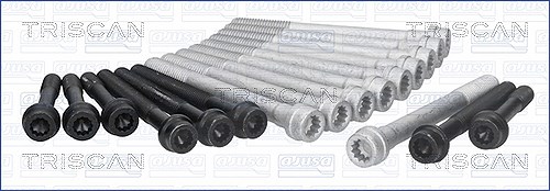 Triscan Zylinderkopfschraubensatz [Hersteller-Nr. 98-1901] für Ford, Opel, Alfa Romeo, Vauxhall, Land Rover, Chrysler, Rover, Jeep, Rayton Fissore, Pl