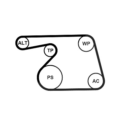 Continental Ctam Keilrippenriemensatz [Hersteller-Nr. 6PK1318K2] für Suzuki, Vauxhall, Opel, Fiat