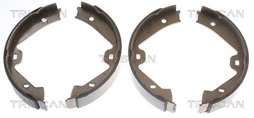 Triscan Bremsbackensatz, Feststellbremse [Hersteller-Nr. 810029002] für VW, Porsche