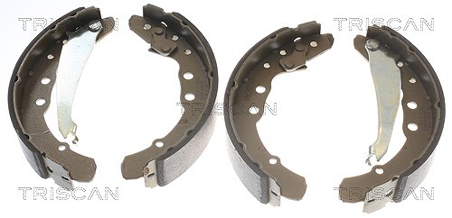 Triscan Bremsbackensatz [Hersteller-Nr. 810029530] für Seat, Audi, VW