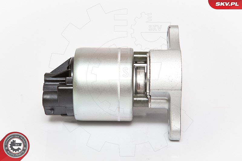 Esen Skv AGR-Ventil [Hersteller-Nr. 14SKV056] für Fiat, Lancia