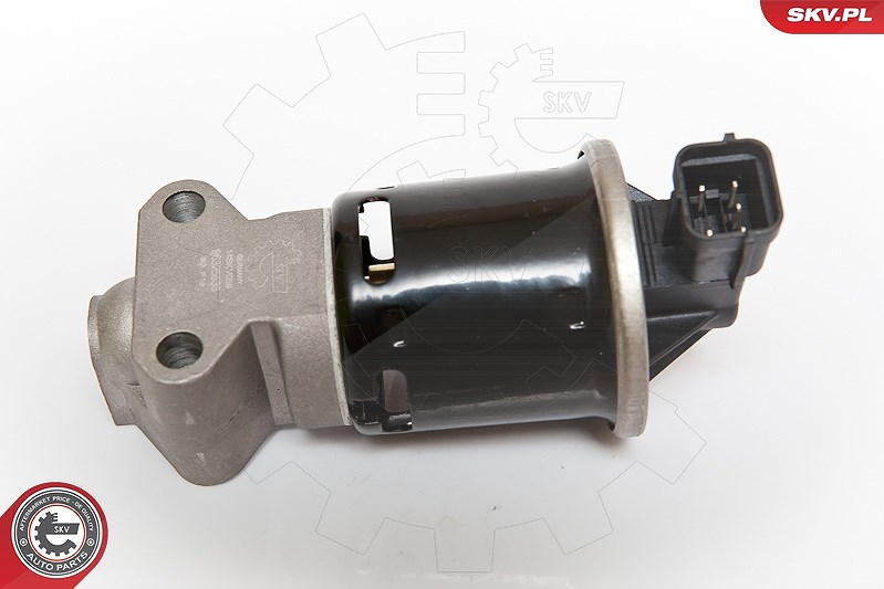 Esen Skv AGR-Ventil [Hersteller-Nr. 14SKV059] für Chevrolet, Daewoo