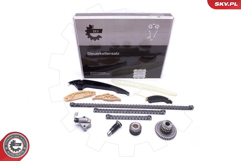 Esen Skv Steuerkettensatz [Hersteller-Nr. 21SKV163] für Seat, Audi, VW, Skoda