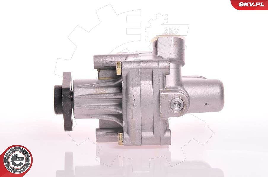 Esen Skv Hydraulikpumpe, Lenkung [Hersteller-Nr. 10SKV125] für Audi
