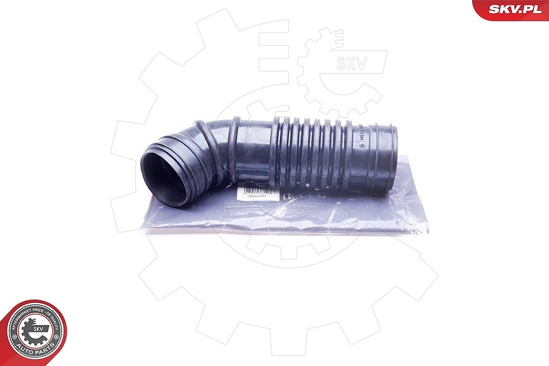 Esen Skv Ansaugschlauch, Luftfilter [Hersteller-Nr. 24SKV491] für Mazda, Ford