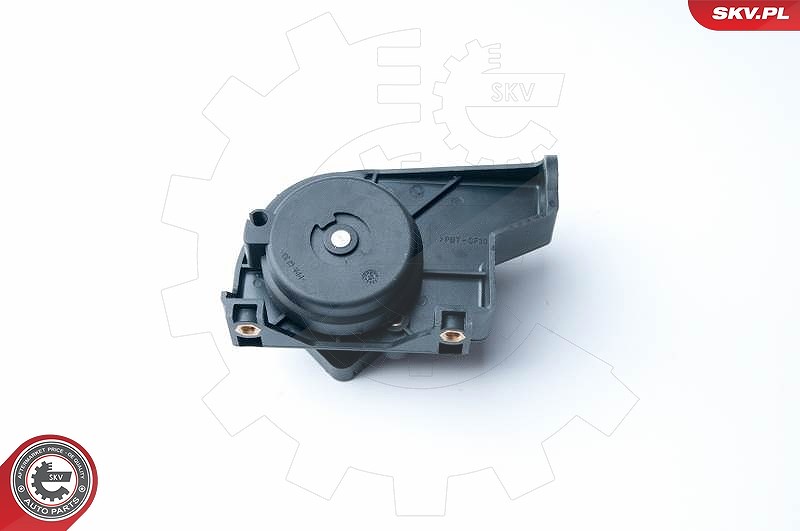 Esen Skv Sensor, Fahrpedalstellung [Hersteller-Nr. 17SKV015] für Peugeot, Citroën