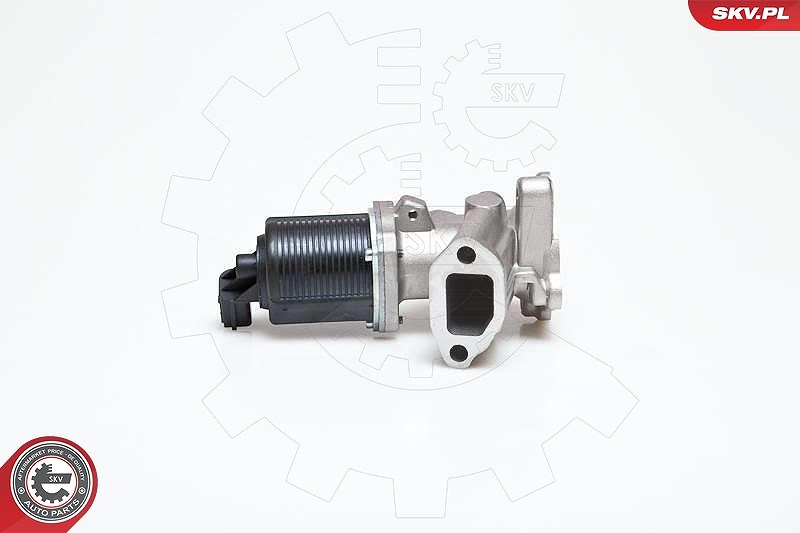 Esen Skv AGR-Ventil [Hersteller-Nr. 14SKV040] für Lancia, Fiat