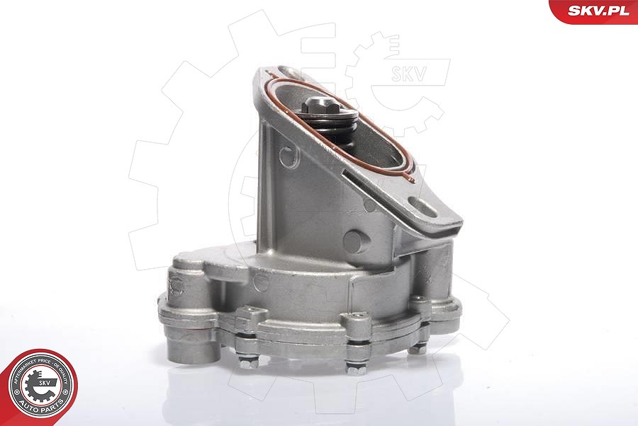 Esen Skv Unterdruckpumpe, Bremsanlage [Hersteller-Nr. 18SKV009] für Audi, VW
