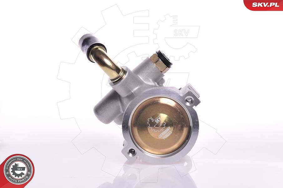 Esen Skv Hydraulikpumpe, Lenkung [Hersteller-Nr. 10SKV133] für Peugeot, Citroën