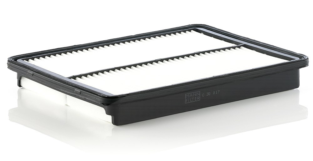 Mann-filter Luftfilter [Hersteller-Nr. C30017] für Kia, Hyundai