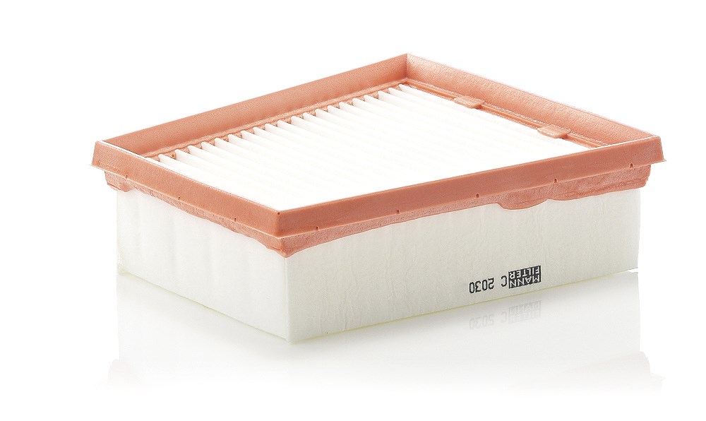 Mann-filter Luftfilter [Hersteller-Nr. C2030] für Renault