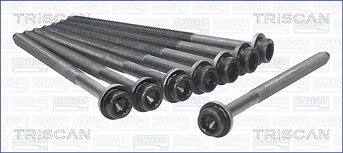 Triscan Zylinderkopfschraubensatz [Hersteller-Nr. 98-8536] für Seat, Skoda, VW