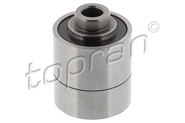 Topran Lager, Lüfterwelle-Motorkühlung [Hersteller-Nr. 109619] für VW, Audi, Skoda