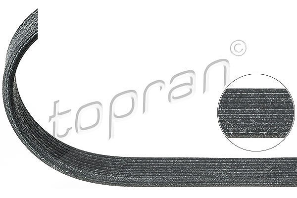 Topran Keilrippenriemen [Hersteller-Nr. 112977] für VW, Porsche, Audi