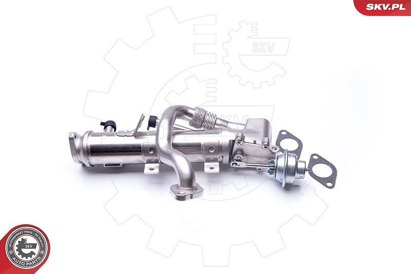 Esen Skv Kühler, Abgasrückführung [Hersteller-Nr. 14SKV150] für Audi, Seat