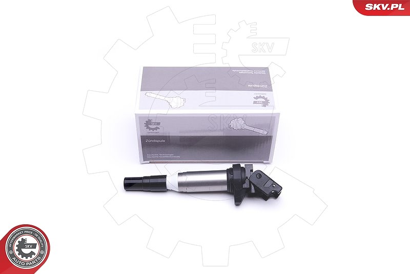 Esen Skv Zündspule [Hersteller-Nr. 03SKV270] für BMW, Alpina