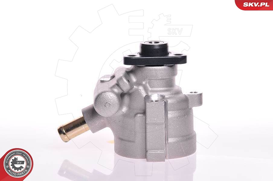 Esen Skv Hydraulikpumpe, Lenkung [Hersteller-Nr. 10SKV141] für Fiat, Lancia