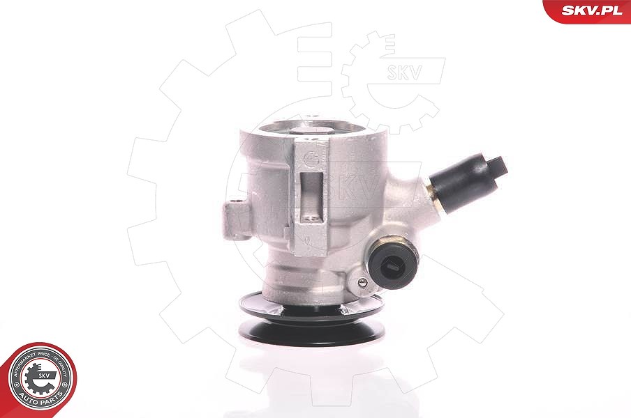 Esen Skv Hydraulikpumpe, Lenkung [Hersteller-Nr. 10SKV118] für Citroën, Peugeot