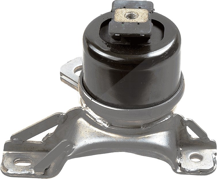 Lemförder Lagerung, Motor [Hersteller-Nr. 4204301] für Land Rover, Jaguar