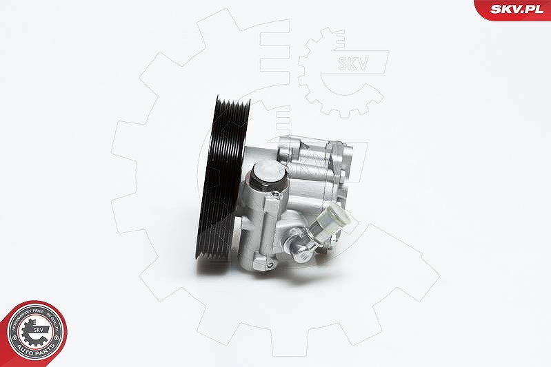 Esen Skv Hydraulikpumpe, Lenkung [Hersteller-Nr. 10SKV022] für Audi