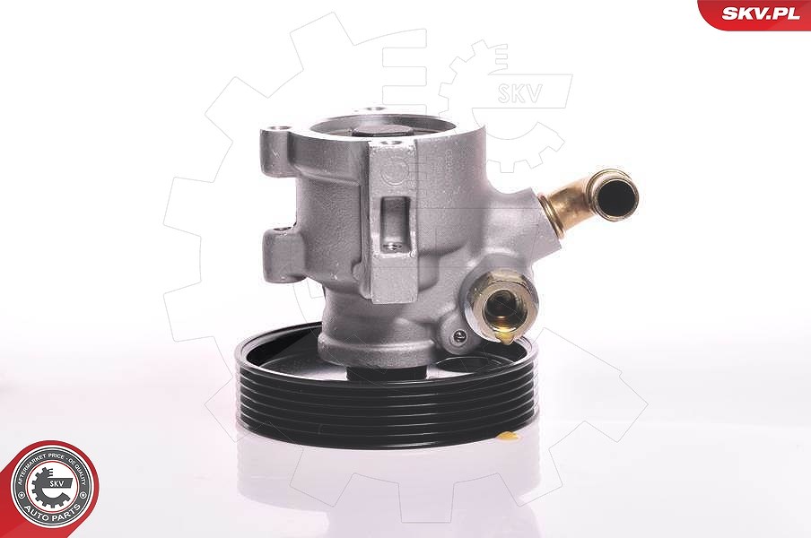Esen Skv Hydraulikpumpe, Lenkung [Hersteller-Nr. 10SKV013] für Peugeot, Citroën, Fiat