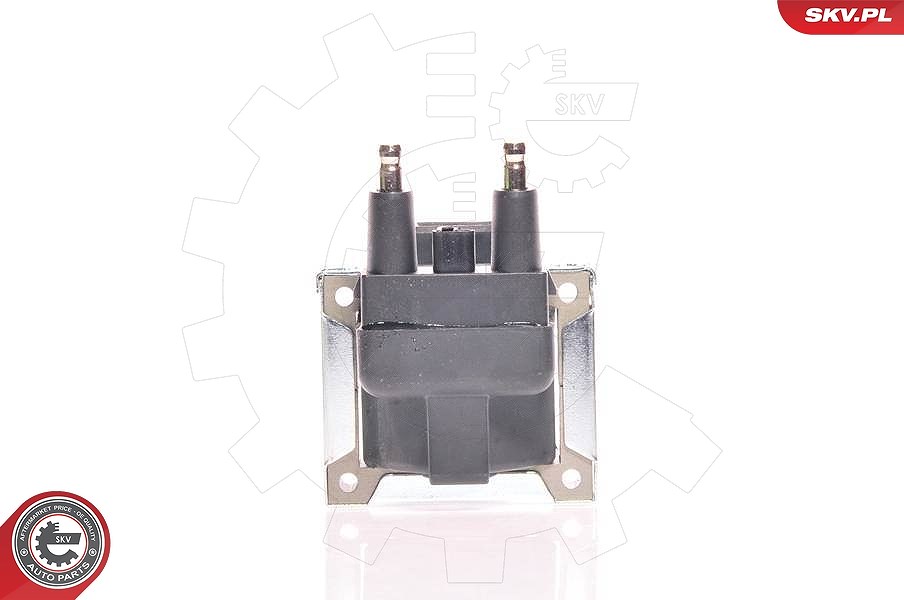 Esen Skv Zündspule [Hersteller-Nr. 03SKV060] für Renault