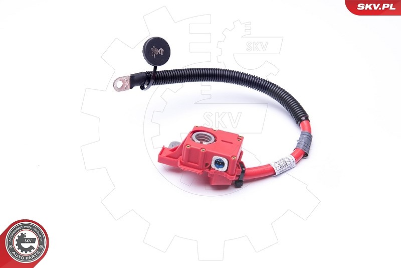 Esen Skv Batterieadapter [Hersteller-Nr. 96SKV304] für BMW
