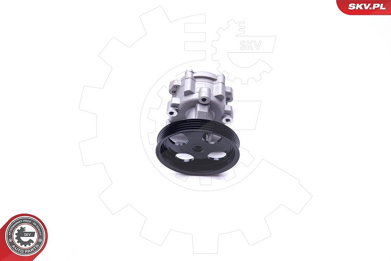 Esen Skv Hydraulikpumpe, Lenkung [Hersteller-Nr. 10SKV251] für Renault, Dacia