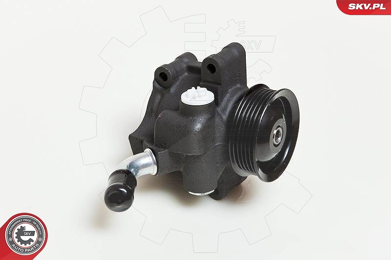 Esen Skv Hydraulikpumpe, Lenkung [Hersteller-Nr. 10SKV035] für Mazda, Ford