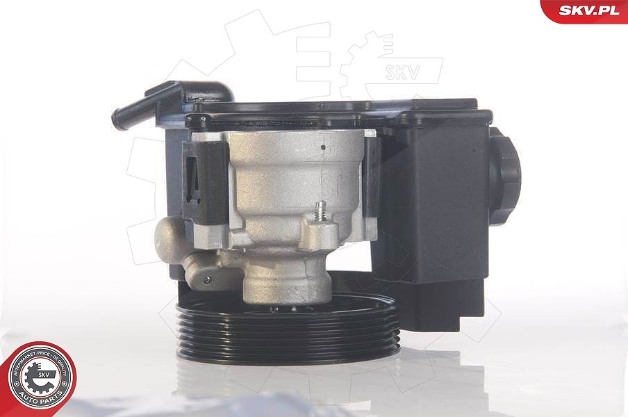 Esen Skv Hydraulikpumpe, Lenkung [Hersteller-Nr. 10SKV171] für Citroën, Peugeot