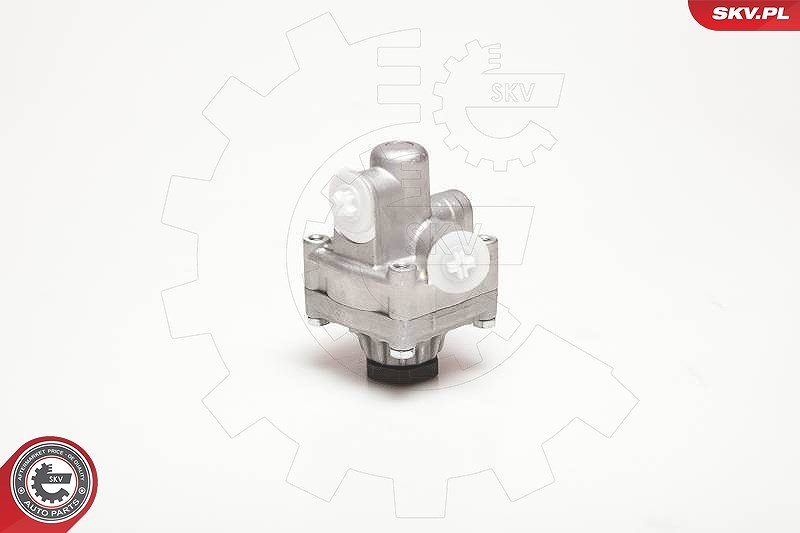 Esen Skv Hydraulikpumpe, Lenkung [Hersteller-Nr. 10SKV017] für Alfa Romeo