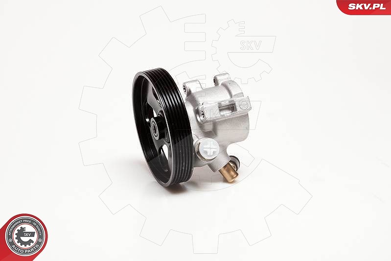 Esen Skv Hydraulikpumpe, Lenkung [Hersteller-Nr. 10SKV086] für Peugeot