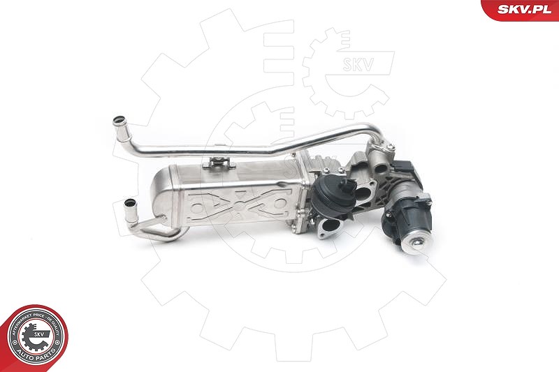 Esen Skv AGR-Ventil [Hersteller-Nr. 14SKV096] für Skoda, VW, Seat