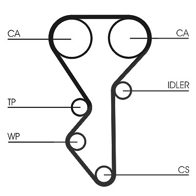Continental Ctam Zahnriemen [Hersteller-Nr. CT955] für Fiat, Peugeot, Lancia, Citroën