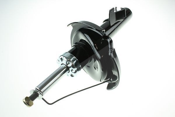 Automega Stoßdämpfer [Hersteller-Nr. 110012410] für Ford