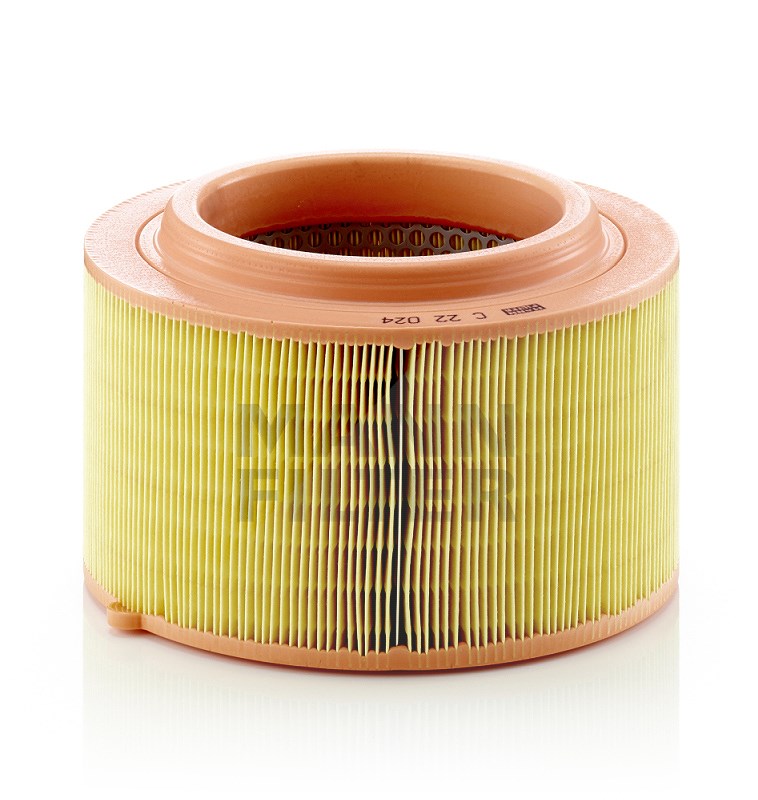 Mann-filter Luftfilter [Hersteller-Nr. C22024] für Ford