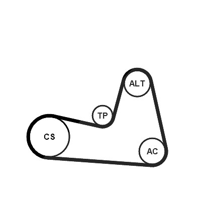 Continental Ctam Keilrippenriemensatz [Hersteller-Nr. 6PK1200K2] für Nissan, Renault, Dacia