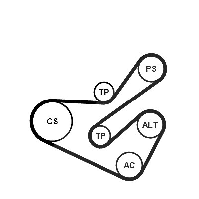 Continental Ctam Keilrippenriemensatz [Hersteller-Nr. 6PK1740K1] für Fiat, Citroën, Peugeot, Lancia