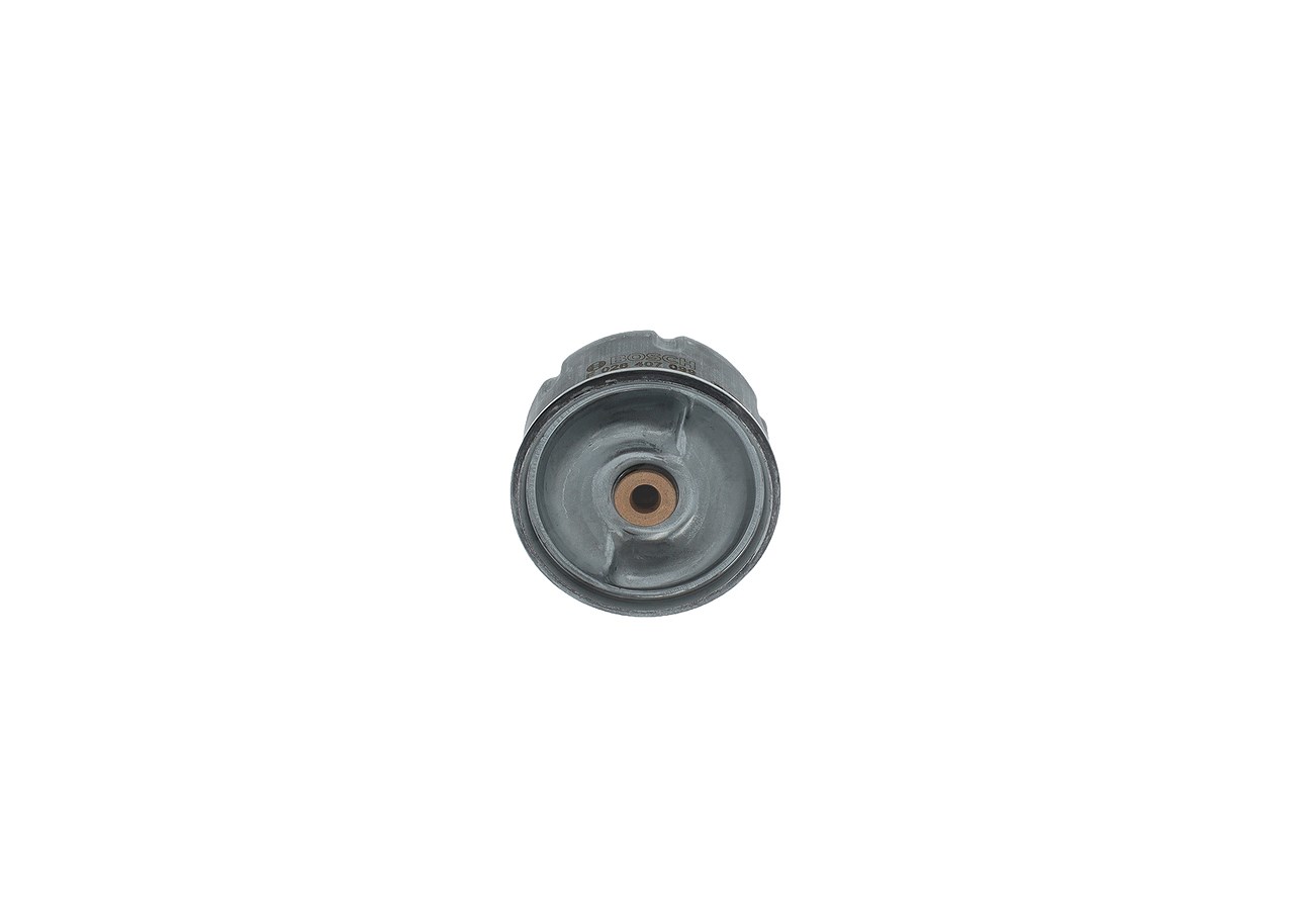 Bosch Ölfilter [Hersteller-Nr. F026407099] für Ford, Land Rover