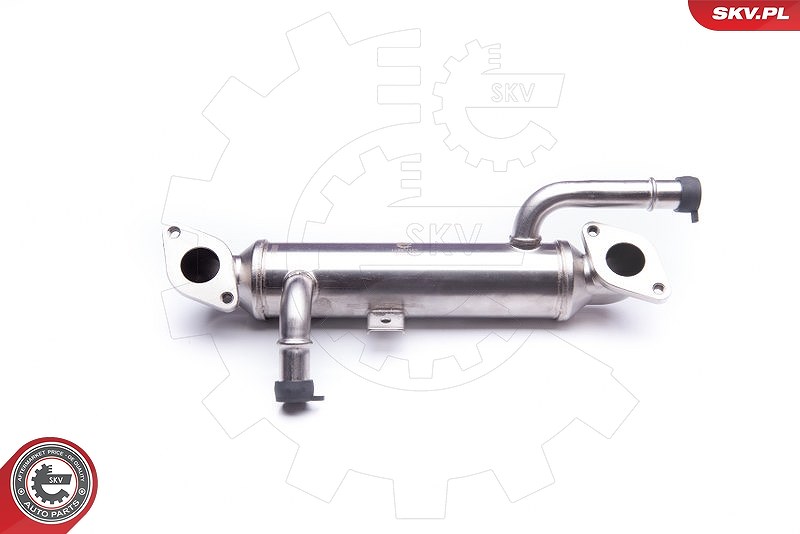 Esen Skv Kühler, Abgasrückführung [Hersteller-Nr. 14SKV142] für Seat, Ford, VW
