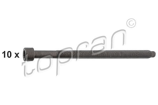 Topran Zylinderkopfschraubensatz [Hersteller-Nr. 109676] für Skoda, VW, Ford, Seat, Audi